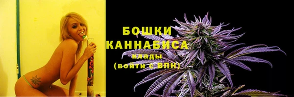 дурь Белокуриха