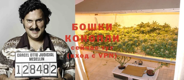 мяу мяу мука Беломорск