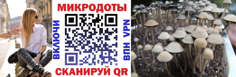 Псилоцибиновые грибы мицелий  магазин  наркотиков  Кодинск 